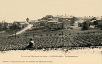 Vue Panoramique