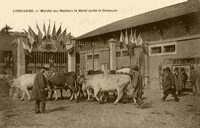 Marché aux Bestiaux le Mardi après le Concours