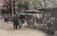 Place Bellecour -Marché aux Fleurs