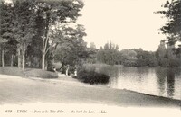 Parc de la Tête d'Or - Au bord du Lac