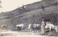 Un Berger dans la Montagne