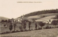 Vue Panoramique 