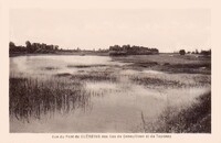 Vue du Pont de Guèreins des Iles de Genouilleux et de Taponas