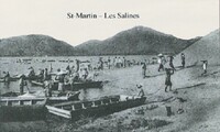 Les salines