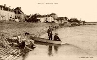 Bord de la Loire -Lavandière