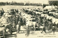 Le Champ de Foire