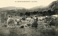 Bourg-Saint-Maurice - La Foire