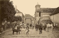 Ferme Agronomique, la Cour