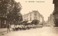 Avenue des Lilas