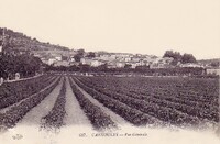 Carnoules - vue Générale