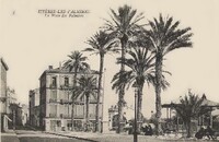 La Place des Palmiers