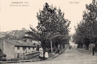 Pierrefeu-du-Var - Boulevard des Palmier