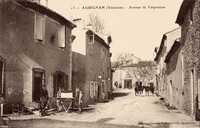 Aubignan - Avenue de Carpentras