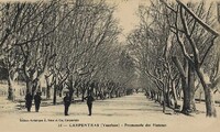 Promenade des Platanes