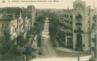 Avenue Ambroise Bouloumié et les Hôtels