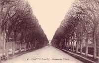 Avenue des Tilleuls